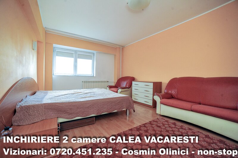 Calea Vacaresti