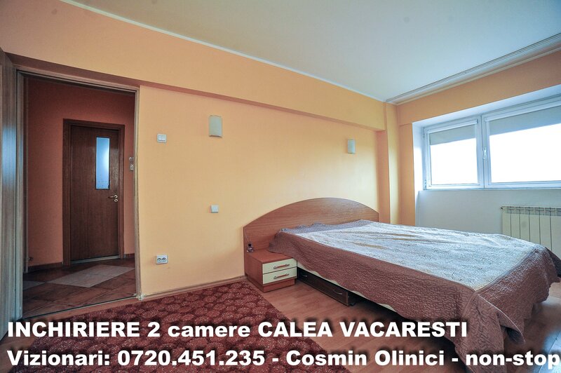 Calea Vacaresti
