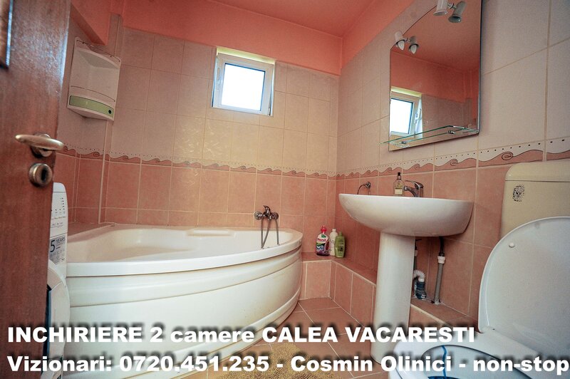 Calea Vacaresti