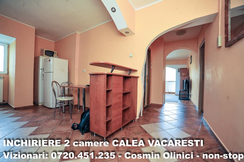 Calea Vacaresti
